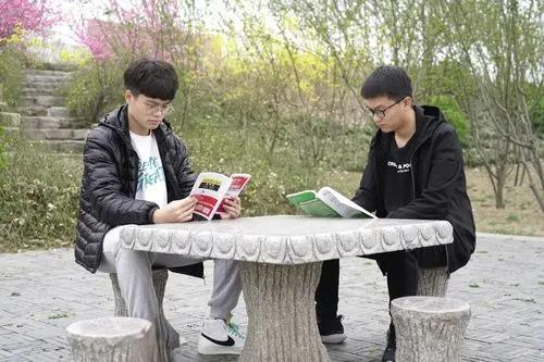 畜牧兽医师职称晋升全攻略：专利申请办理、