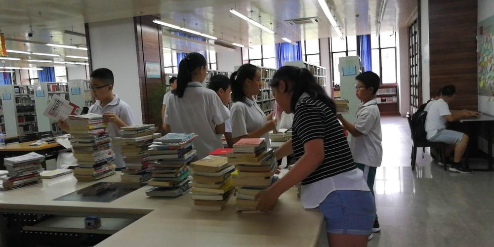 【职称评定全攻略】：评职称需注意的要点与步骤详解